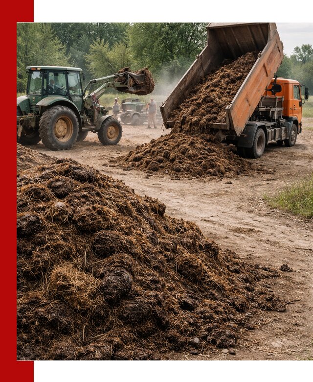 Доставка навоза самосвалами в Крымске для сельхозпотребностей